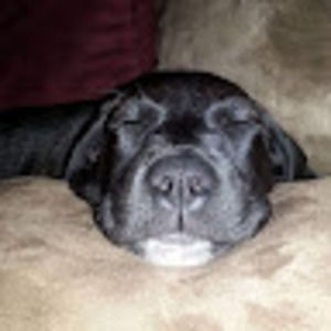 Meet your Posher, Kaia